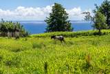  Kamalani Rd - Photo 4