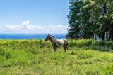  Kamalani Rd - Photo 7