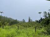 39-3342 Hana Ika Luna Camp Rd - Photo 1