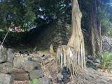 3-3551 Kuhio Hwy - Photo 6