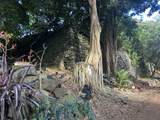 3-3551 Kuhio Hwy - Photo 7