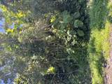  Opelu St - Photo 4