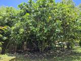 1084 Apono Pl - Photo 11
