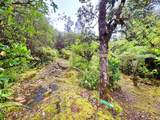 11-3029 Plumeria St - Photo 20