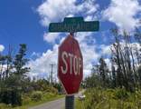  Sugarcane Ln - Photo 6