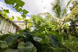 74 Maikai St - Photo 2