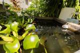 74 Maikai St - Photo 15