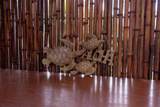 14-3460 Molokai Rd - Photo 29