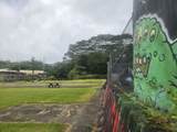  Kekauonohe St - Photo 2