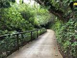 5380 Honoiki Rd - Photo 21