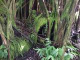 16-759-A Wao Kele Rd - Photo 15