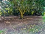 5-6671 Kuhio Hwy - Photo 4