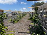 92-8343 Mamalahoa Hwy - Photo 18
