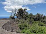 92-8343 Mamalahoa Hwy - Photo 19