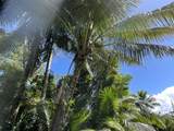  Kahakai Blvd - Photo 11