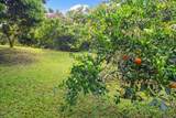 6250 Olohena Rd - Photo 26