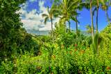 5451 Ka Haku Rd - Photo 25