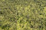  Hibiscus St - Photo 7