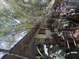 4880-A Souza Pl - Photo 4