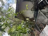 4880-A Souza Pl - Photo 5