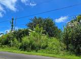  Silversword Dr - Photo 4