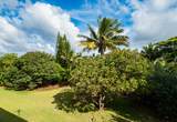 2940 Kanani St - Photo 24