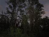  Noe Kuahiwi Rd - Photo 1