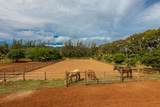 6020 Koolau Rd - Photo 14