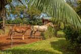 6020 Koolau Rd - Photo 19