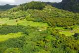 5310 Nonou Rd - Photo 6