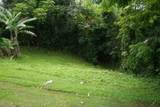6396 Kalama Rd - Photo 8