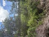  Road 9 (Koloa Maoli) - Photo 1