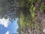  Road 9 (Koloa Maoli) - Photo 3