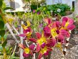 2253 Poipu Rd - Photo 22