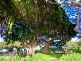 2253 Poipu Rd - Photo 23
