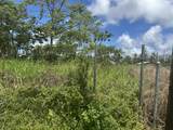  Kuhio Dr - Photo 8
