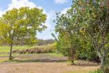  Poipu Aina Pl - Photo 13