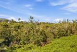 3700 Kamehameha Rd - Photo 14