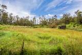11-3169-A Volcano Rd - Photo 15