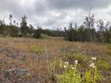  Lotus Blossom Ln - Photo 3