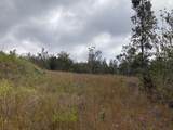  Lotus Blossom Ln - Photo 5