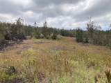  Lotus Blossom Ln - Photo 7