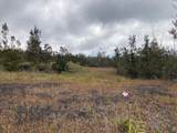  Lotus Blossom Ln - Photo 8