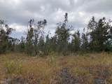  Lotus Blossom Ln - Photo 10