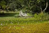 12-1098 Kaimu Makena Homestead Rd - Photo 27
