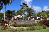 4141 Lei O Papa Rd - Photo 29