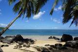 4005 Aloalii Dr - Photo 13