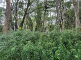  Niihau Rd - Photo 1