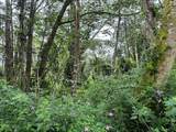  Niihau Rd - Photo 1