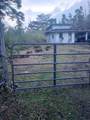 11-1211 Puhala St - Photo 1
